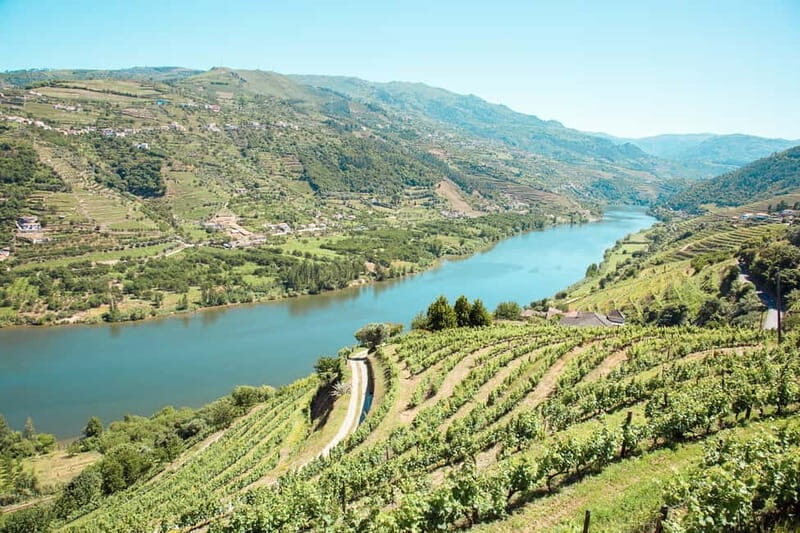 Douro Valley: Real Small-Group, Wine Tasting, Lunch & Boat - Pinhão River Cruise: The Hour That Cools Down the Whole Day