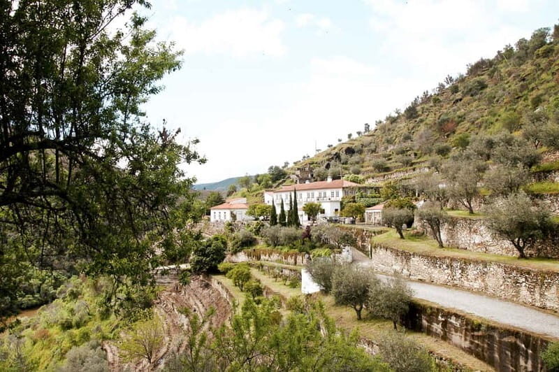 Douro Valley: Real Small-Group, Wine Tasting, Lunch & Boat - Second Estate for Table Wine: Premium Styles, Small-Producer Techniques