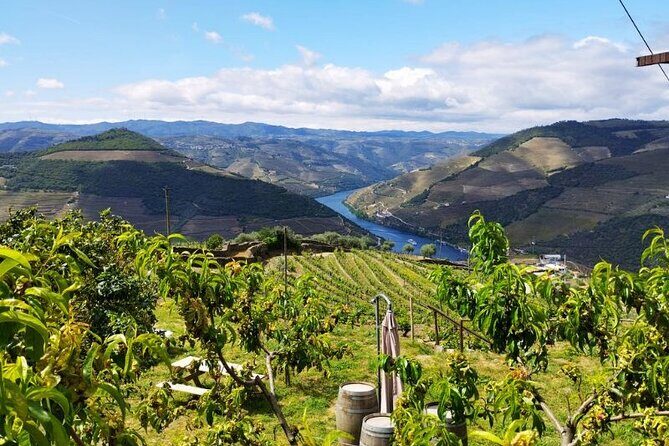 Douro Valley Small-Group Tour: 2 Wineries, Lunch, Optional Cruise - Winery stop 1: how the first tasting sets the tone