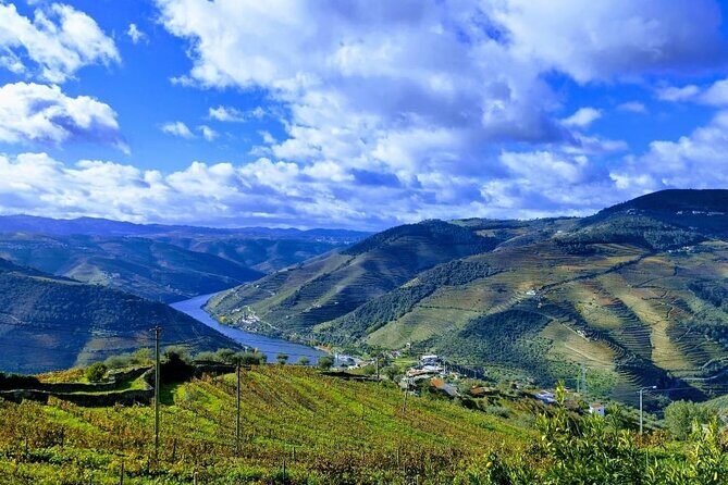 Douro Valley Small-Group Tour: 2 Wineries, Lunch, Optional Cruise - Lunch in the Douro: included, local, and meant to slow you down