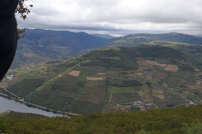 Douro Valley Tour Wine and breathtaking views - Road 222 viewpoints through Pinhão toward Peso da Régua