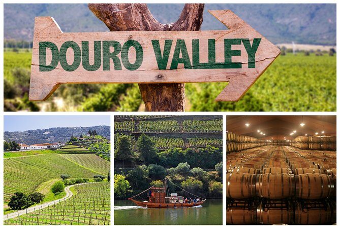 Douro Valley Tour: Wine Tasting, Cruise and Lunch from Porto - Key moments worth planning for