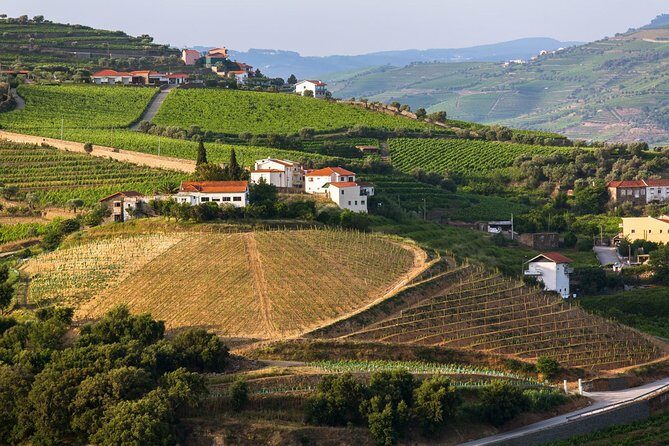 Douro Valley Tour: Wine Tasting, Cruise and Lunch from Porto - Viewpoints, bridges, and the reality of wind and rain