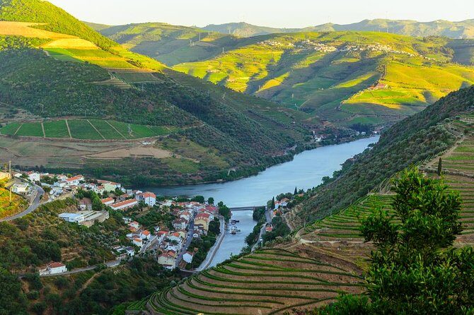 Douro Valley Tour: Wine Tasting, Cruise and Lunch from Porto - Who runs your day: guides with high-energy narration and a safe coach