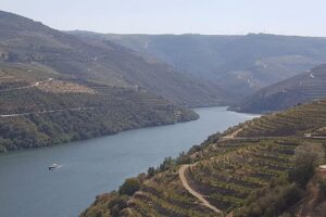 Douro Valley Tour: Wine Tasting River Cruise and Lunch from Porto - Amarante Stop: Church, Monastery, and local roots
