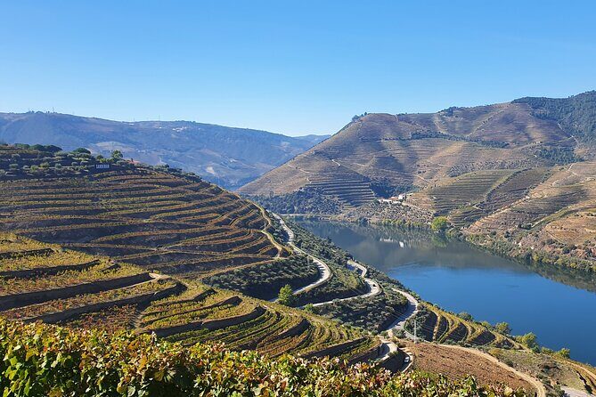 Douro Valley Tour: Wine Tasting River Cruise and Lunch from Porto - Price and logistics: what’s included, what’s not, and where surprises happen