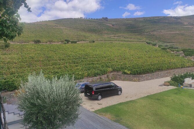 Douro Valley unforgettable experiences - Sabrosa lunch with white and red Douro Doc wine