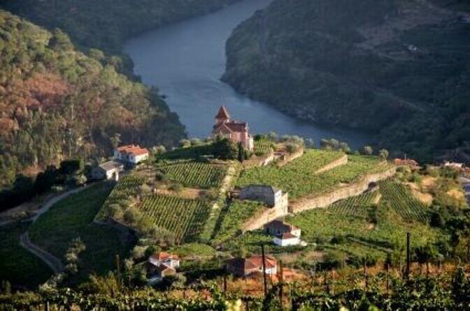 Douro Valley Wine Tour: 3 Vineyard Visits, Wine Tastings, Lunch - Key highlights worth your attention