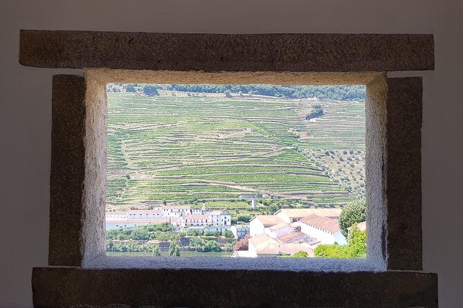 Douro Valley Wine Tour: 3 Vineyard Visits, Wine Tastings, Lunch - From Porto to Douro Valley: Timing, Pickup, and the 8:30 AM start
