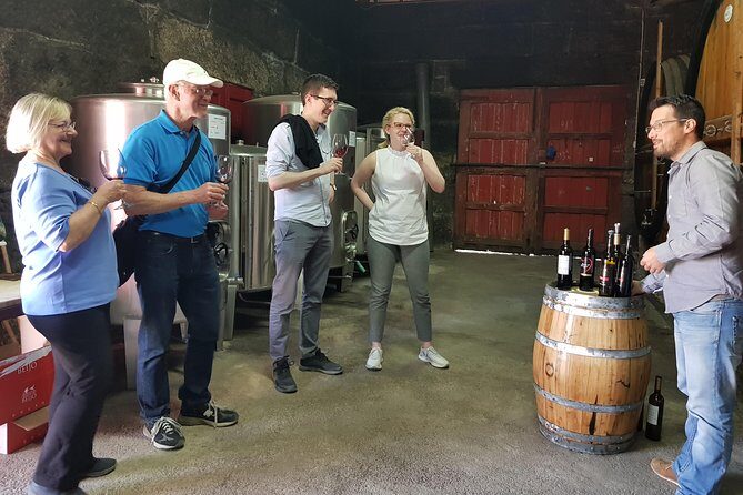 Douro Valley Wine Tour: 3 Vineyard Visits, Wine Tastings, Lunch - Stop 3 in Sabrosa: 4-Course Vineyard Lunch and a Cellar Finale