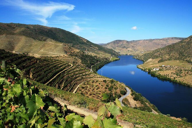 Douro Valley Wine Tour: 3 Vineyard Visits, Wine Tastings, Lunch - Stop 1 in Lamego: Terraced Views and a Small Family Vineyard Tasting