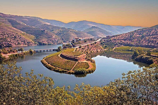 Douro Valley Wine Tour Private Group, 1h Cruise, Lunch from Porto - The 50-Minute Douro River Cruise: Views That Do the Talking