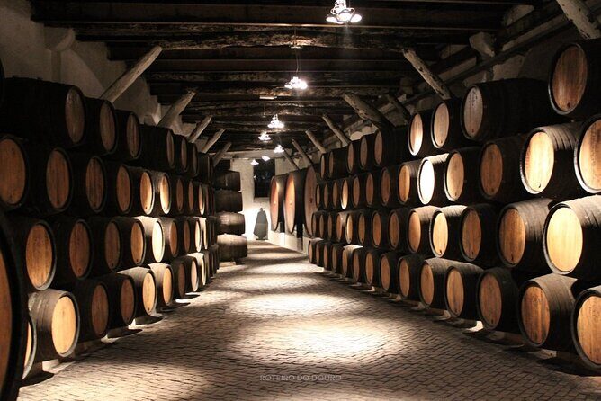 Douro Valley Wine Tour Private Group, 1h Cruise, Lunch from Porto - Peso da Régua Lunch and a Family Winery Taste