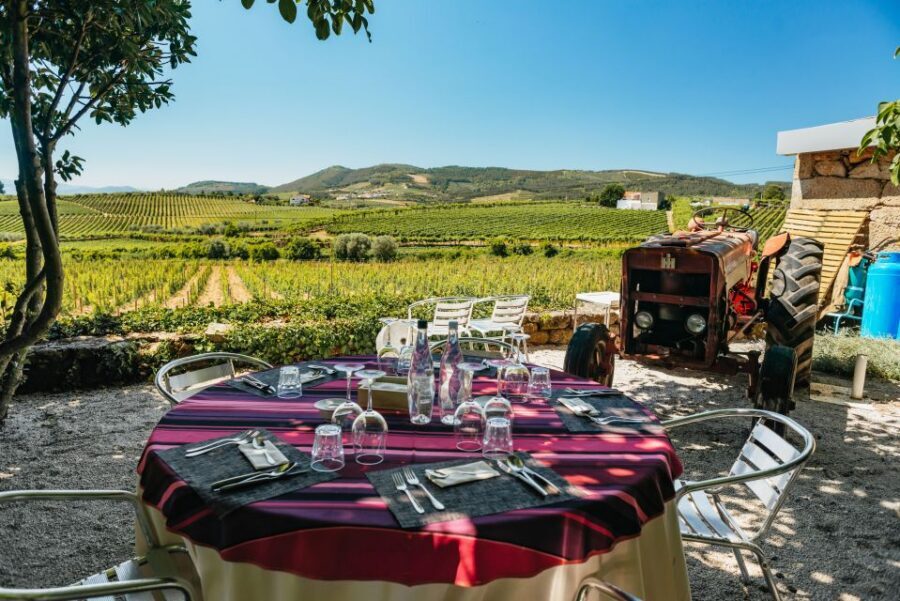 Douro Valley: Wine Tour with Lunch, Tastings & River Cruise - Price and value: what $113 buys you in a full day