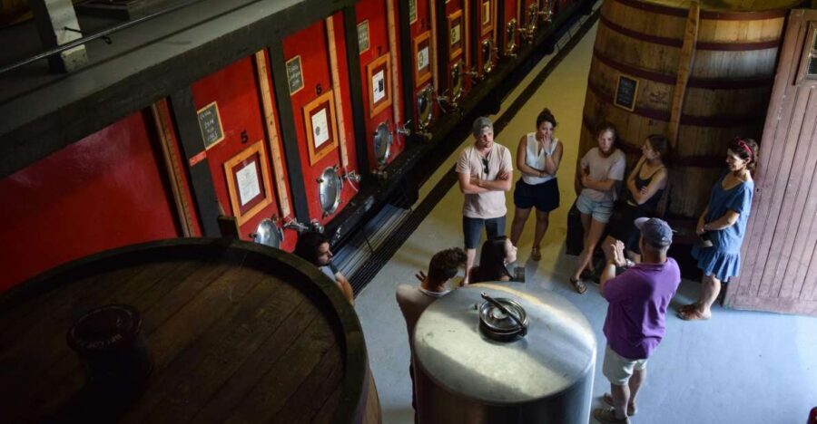 Douro Valley: Winery Tour at Quinta do Tedo and Tastings - Quinta do Tedo: why this setting matters in the Douro