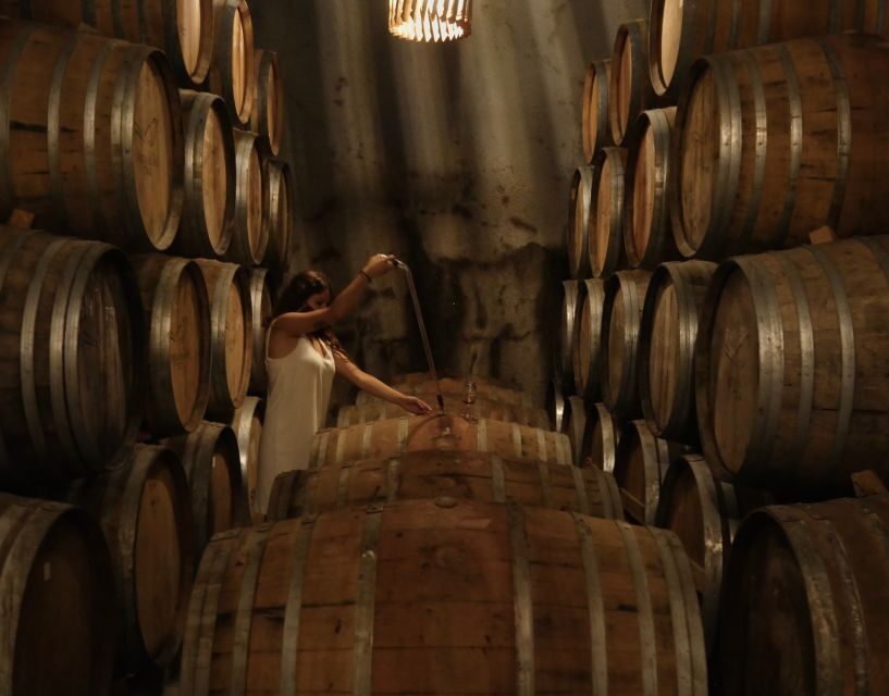 Douro Valley: Winery Tour at Quinta do Tedo and Tastings - The vineyards: 37 acres of organic class A grapes