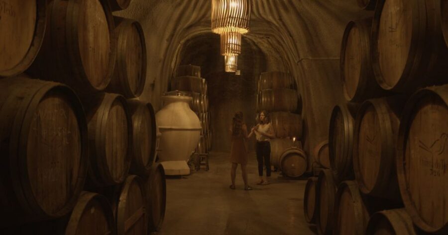 Douro Valley: Winery Tour at Quinta do Tedo and Tastings - Views at the confluence: the scenery that actually helps learning