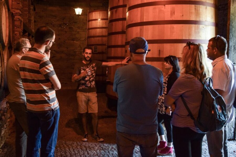 Douro Valley: Winery Tour at Quinta do Tedo and Tastings - Price and value: is $42 worth it for a one-hour visit?