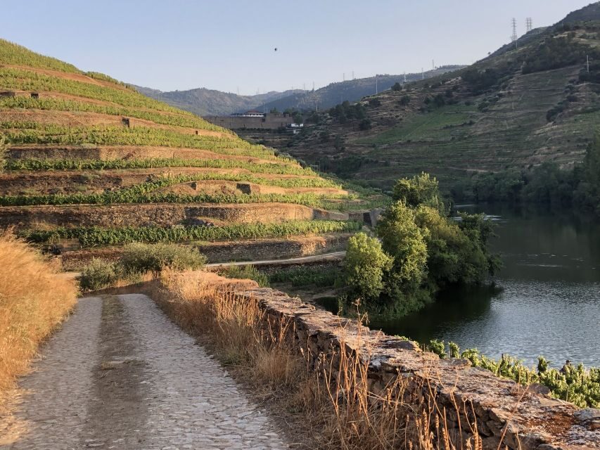 Douro Valley: Winery Tour at Quinta do Tedo and Tastings - Timing, meeting point, and what to expect on the ground