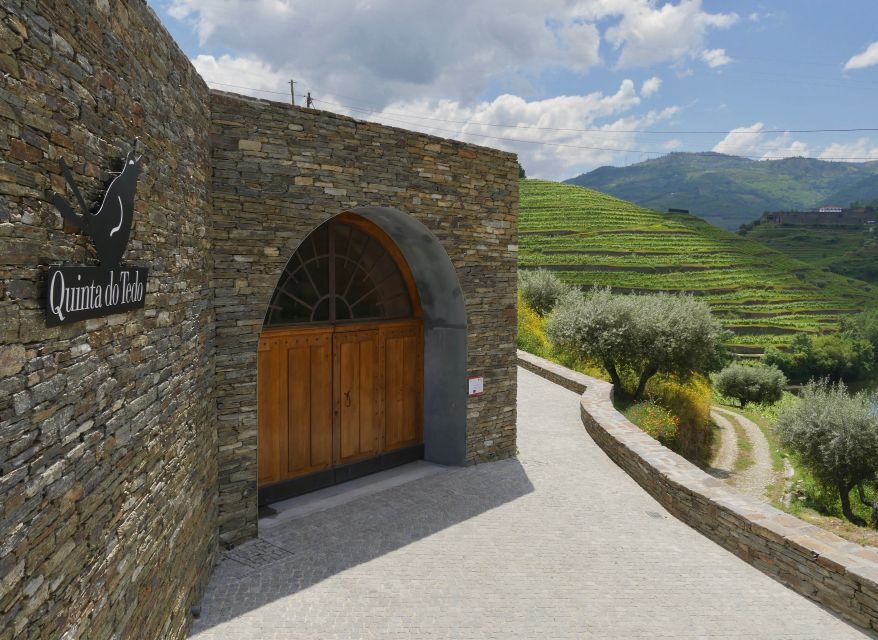 Douro Valley: Winery Tour at Quinta do Tedo and Tastings - The guided tour: 35 minutes of how Douro wine gets made
