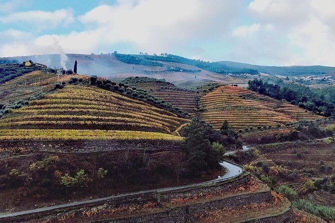 Douro Valley with Two Winery, Boat Trip and Lunch From Porto - Quick hits