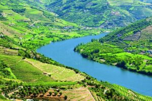Douro Valley with Two Winery, Boat Trip and Lunch From Porto - Viewpoints before the wineries: when the “Douro look” makes sense