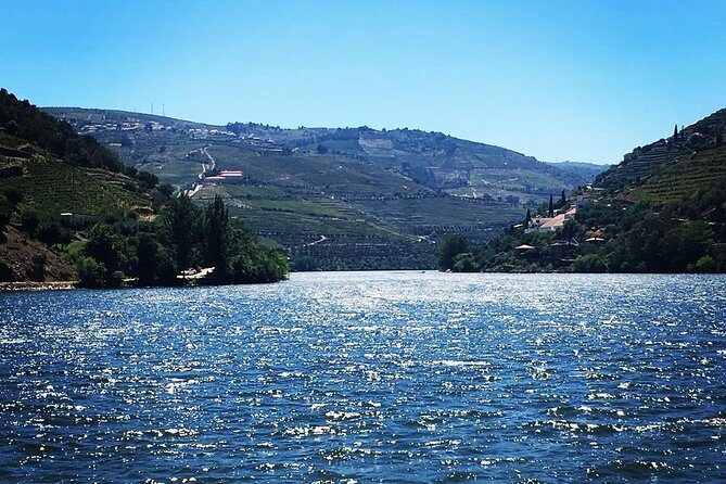Douro Valley with Two Winery, Boat Trip and Lunch From Porto - Quinta do Seixo (Sandeman): first winery tastings and why this stop works