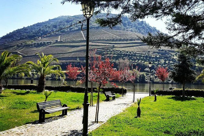 Douro Valley with Two Winery, Boat Trip and Lunch From Porto - Tabuaco lunch: Portuguese comfort food built for a full day