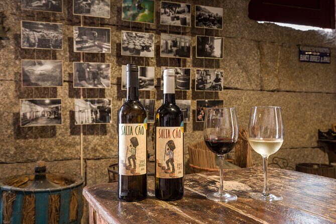 Douro & Vinho Verde: Family Wineries Private Tour in Portugal - Tips to Make the Most of Your Afternoon