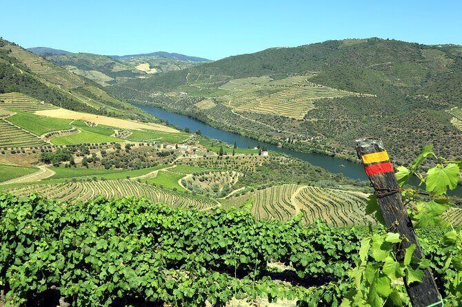 Ervedosa do Douro Walking Tour - Key highlights worth showing up for