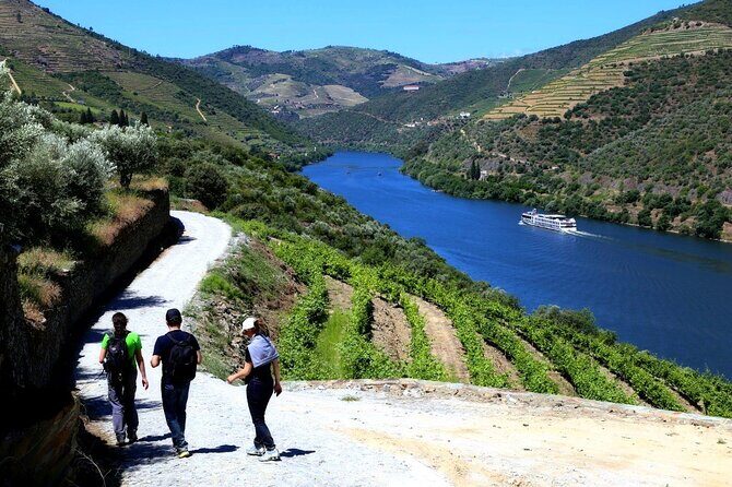 Ervedosa do Douro Walking Tour - The $180 value: why the price includes more than walking