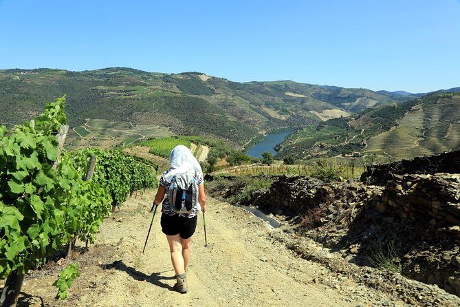 Ervedosa do Douro Walking Tour - 9.2 km of terraced walking: what the day feels like