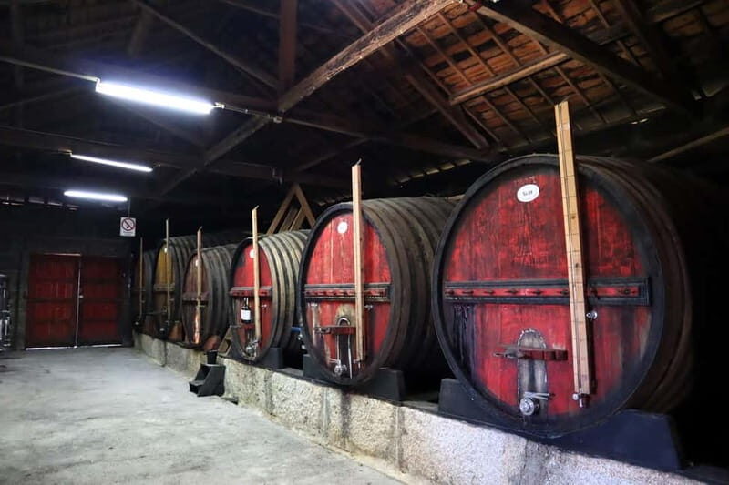 Exclusive Douro Valley: 3 Wineries, 9 Wine Tastings & Lunch - Stop 1: Port Wine Tour, Lagar Photos, and Barrel Logic