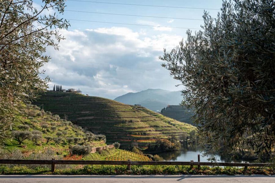 Exclusive Douro Valley: 3 Wineries, 9 Wine Tastings & Lunch - The Riverside Lunch: Local Flavors and a Real Choice