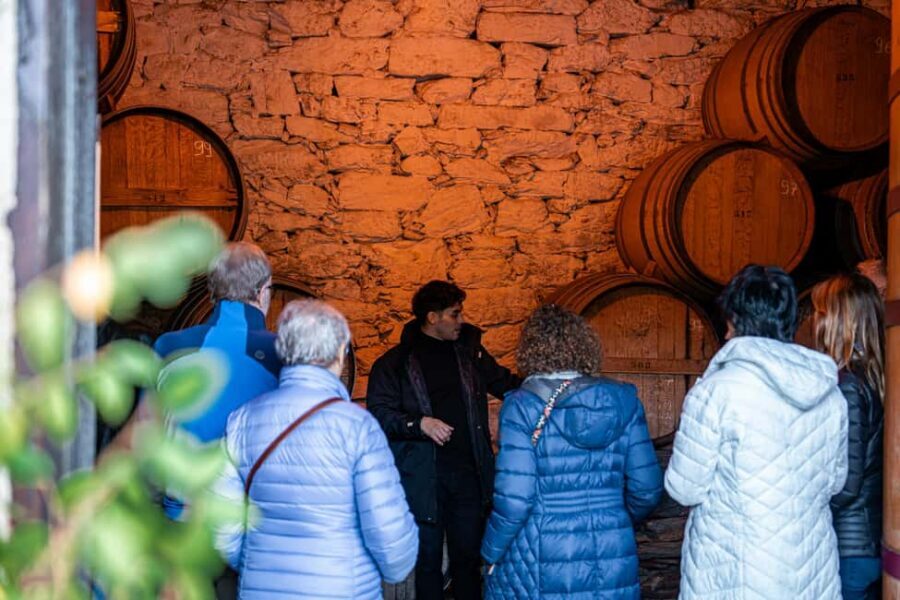 Exclusive Douro Valley: 3 Wineries, 9 Wine Tastings & Lunch - Stop 3 in Pinhão: Vintage Port With the Valley in View