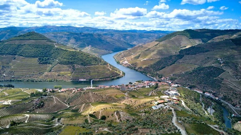 Exclusive Douro Valley: 3 Wineries, 9 Wine Tastings & Lunch - Price and Value: Is $153 Reasonable for This Much Wine Time?