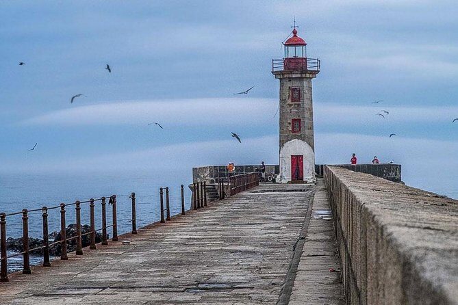 Experience Porto by Bike: 3-Hour Private Tour - Foz coast ride: gardens, forts, lighthouse views, and sea breezes
