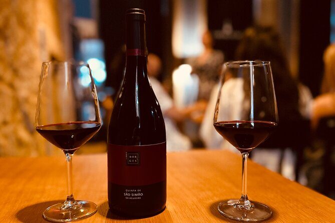 Fado Concert with Welcome Drink - What This Fado Concert Gets Right in Porto