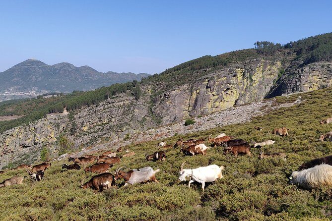 Fisgas de Ermelo Trail - Stop-by-stop: what each moment feels like on the trail