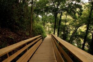From Porto: 516 Arouca Bridge and Paiva Walkways Guided Tour - The 516 Arouca Suspension Bridge: options for thrill seekers and height worriers