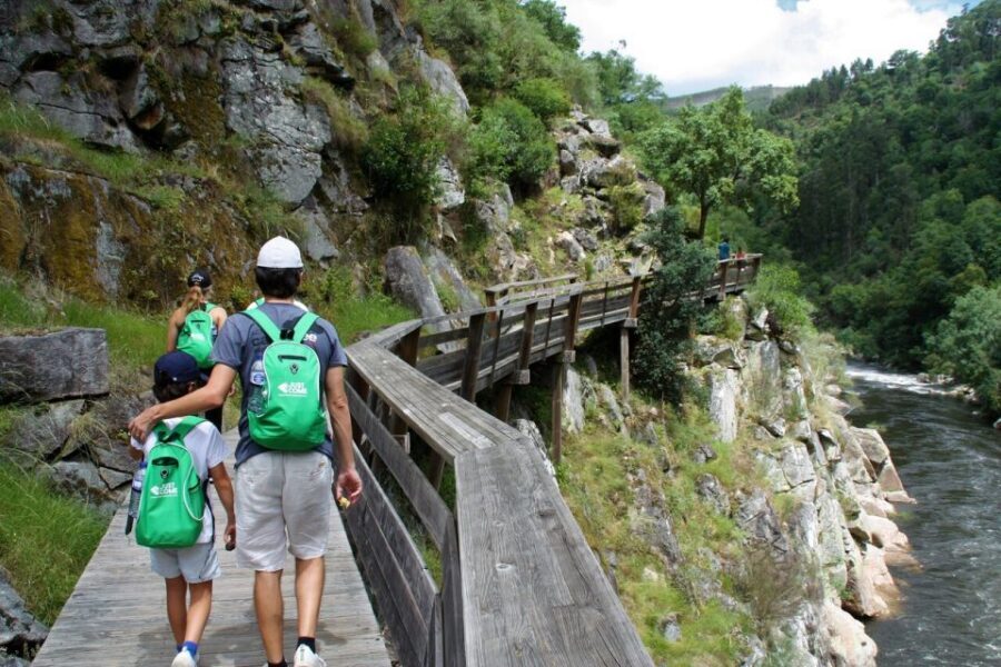 From Porto: 516 Arouca Bridge and Paiva Walkways Guided Tour - Who should book this tour (and who should rethink it)