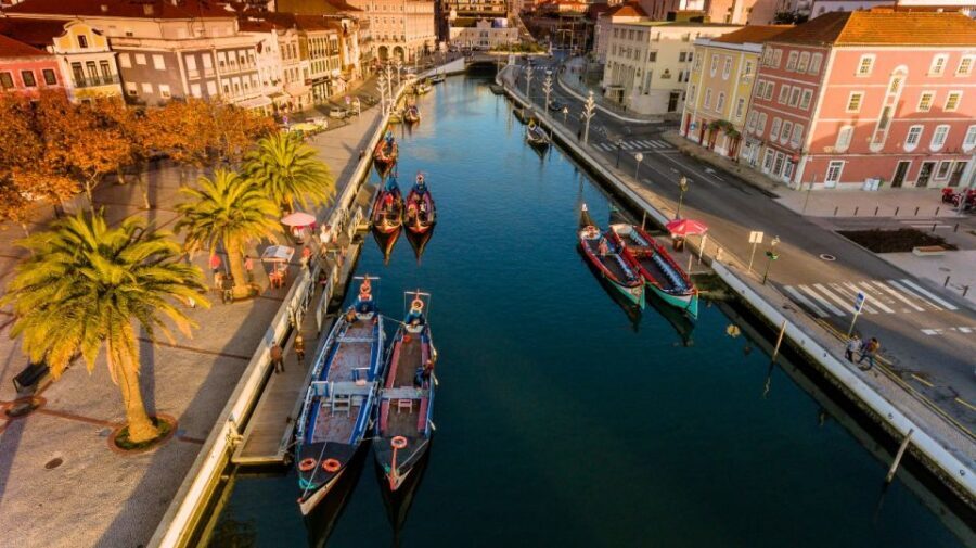 From Porto: Aveiro and Coimbra Private Tour - Fish market + Art Nouveau streets: how Aveiro stays real