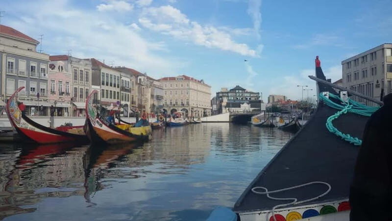 From Porto: Aveiro & Coimbra Tour with Moliceiro Boat Cruise - Porto to Aveiro by air-conditioned van: the start that sets the tone