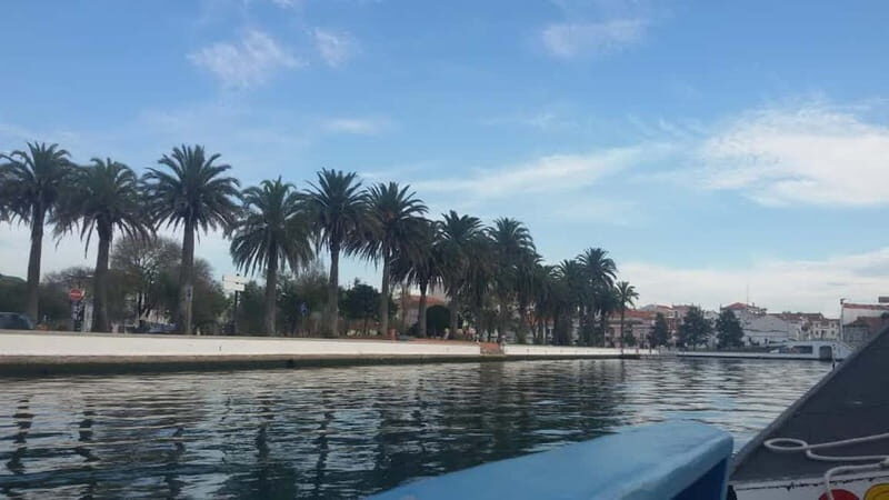 From Porto: Aveiro & Coimbra Tour with Moliceiro Boat Cruise - The moliceiro boat cruise: the best way to see “Venice of Portugal” for real
