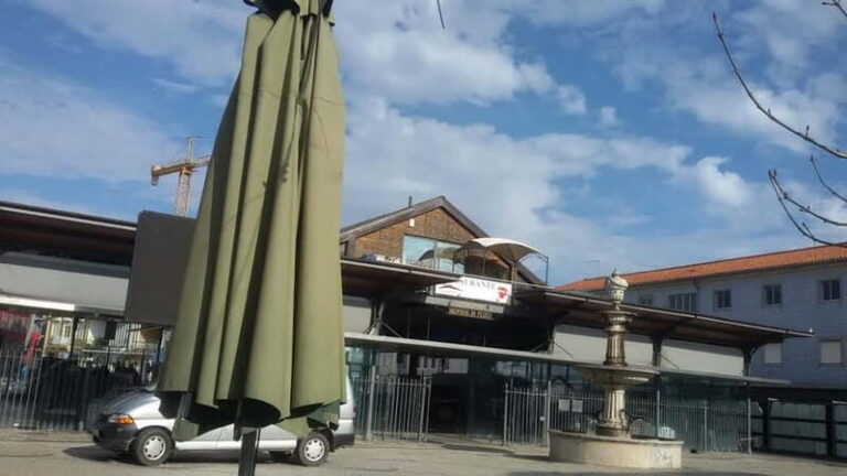 From Porto: Aveiro & Coimbra Tour with Moliceiro Boat Cruise - Aveiro’s historic center: canals, Art Nouveau, and a quick cultural primer