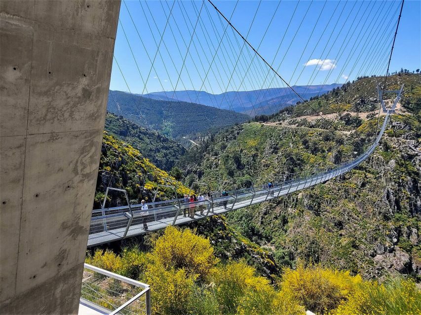 From Porto: Aveiro, Paiva Walkways and Arouca 516 Footbridge - Who this tour suits best (and who should rethink)
