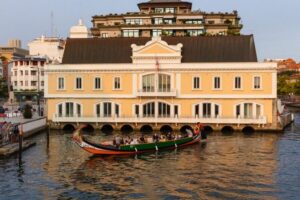 From Porto: Aveiro Private Guided Day Trip - Aveiro Downtown Canals: Fish Market, Art Nouveau, and Easy Walking