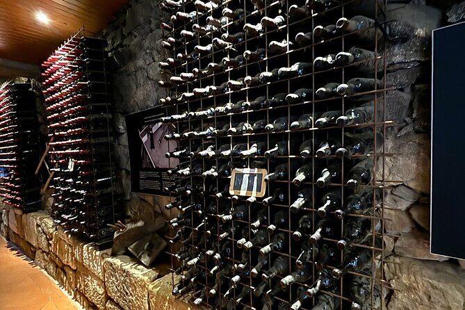 From Porto: Douro Valley Tour with 2 Wineries, Lunch and Cruise - Port wine tasting and classifications that actually click