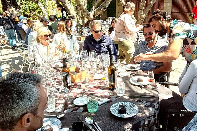 From Porto: Douro Valley Tour with 2 Wineries, Lunch and Cruise - Guides make or break the vibe: Luis, Emanuel, Catia, and more