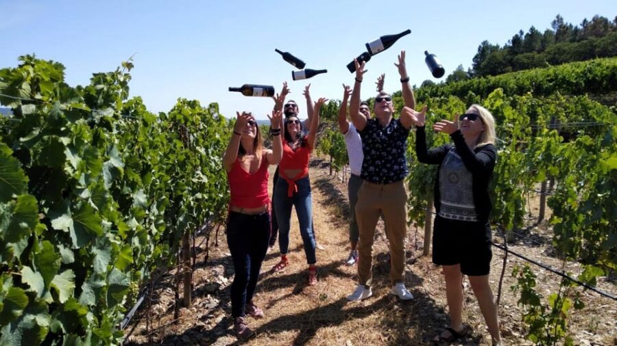 From Porto: Douro Valley Tour with Tastings, Boat & Lunch - Key things to know before you go